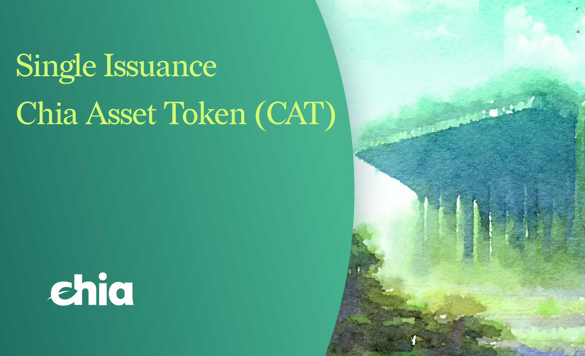 Single Issuance CATs